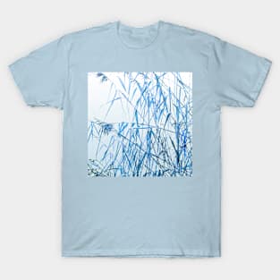 Arundo dorax T-Shirt